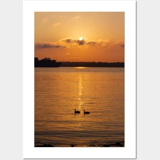 Ducks in the Sunrise Posters and Art